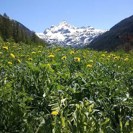 Bed and breakfast La Niche